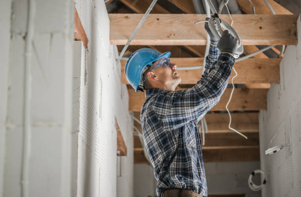 Best Generator Installation Services  in Bushnell, IL